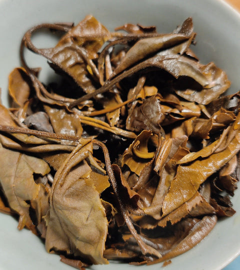 White Tea Varieties: Fuding vs. Yunnan