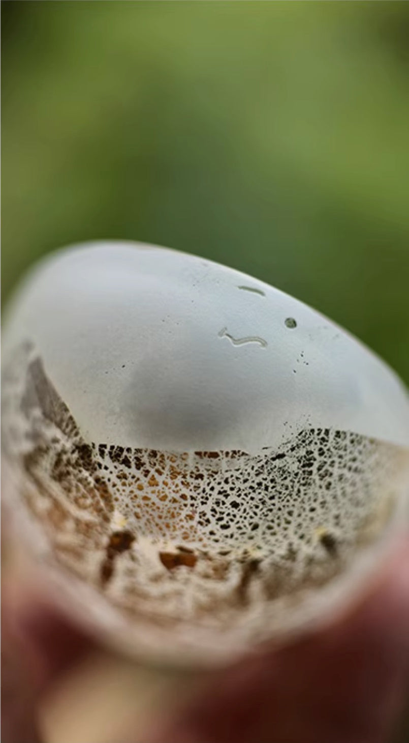 Winter Frost Moonlit Gold Tea Scoop by Qin Glass