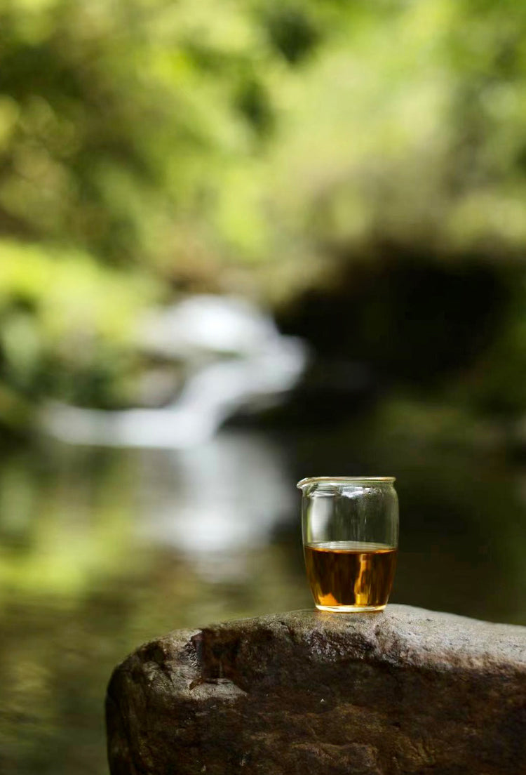 Elegant Rounded Glass Gongdaobei Share Cup