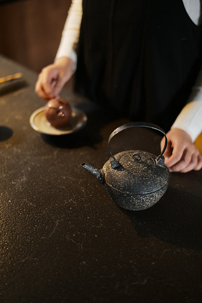 Natural Earth Turtle-Back Kettle with Iron Handle