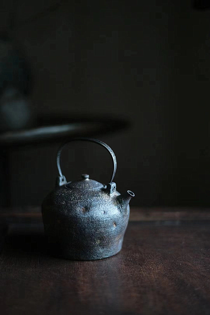 Iron and ceramic tea kettle by Cheng Wei