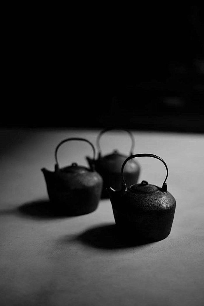 Iron and ceramic tea kettle by Cheng Wei