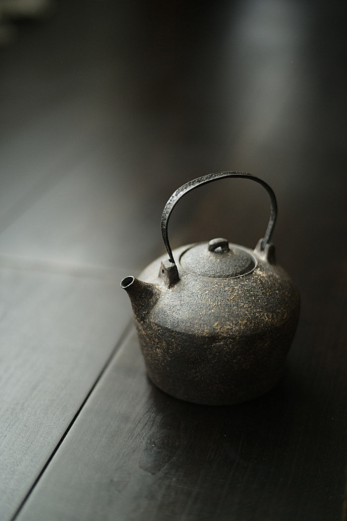 Iron and ceramic tea kettle by Cheng Wei
