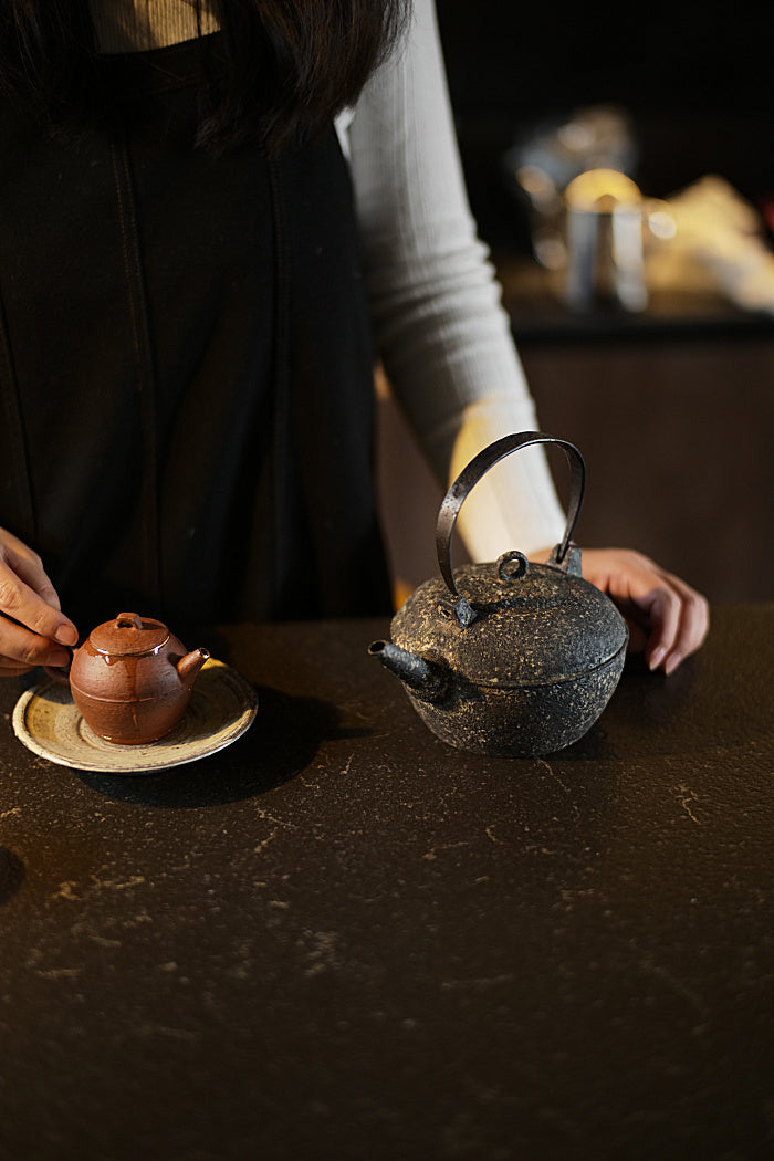 Natural Earth Turtle-Back Kettle with Iron Handle