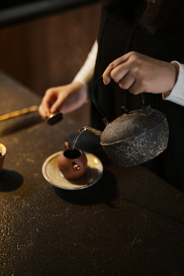 Natural Earth Turtle-Back Kettle with Iron Handle