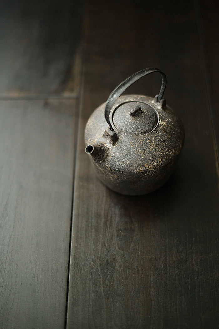Iron and ceramic tea kettle by Cheng Wei