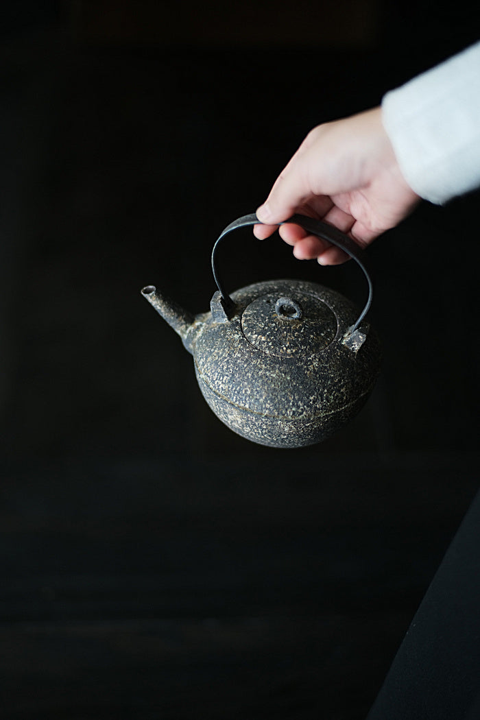 Natural Earth Turtle-Back Kettle with Iron Handle