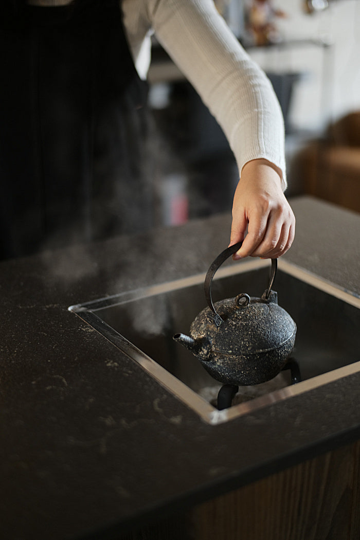Natural Earth Turtle-Back Kettle with Iron Handle