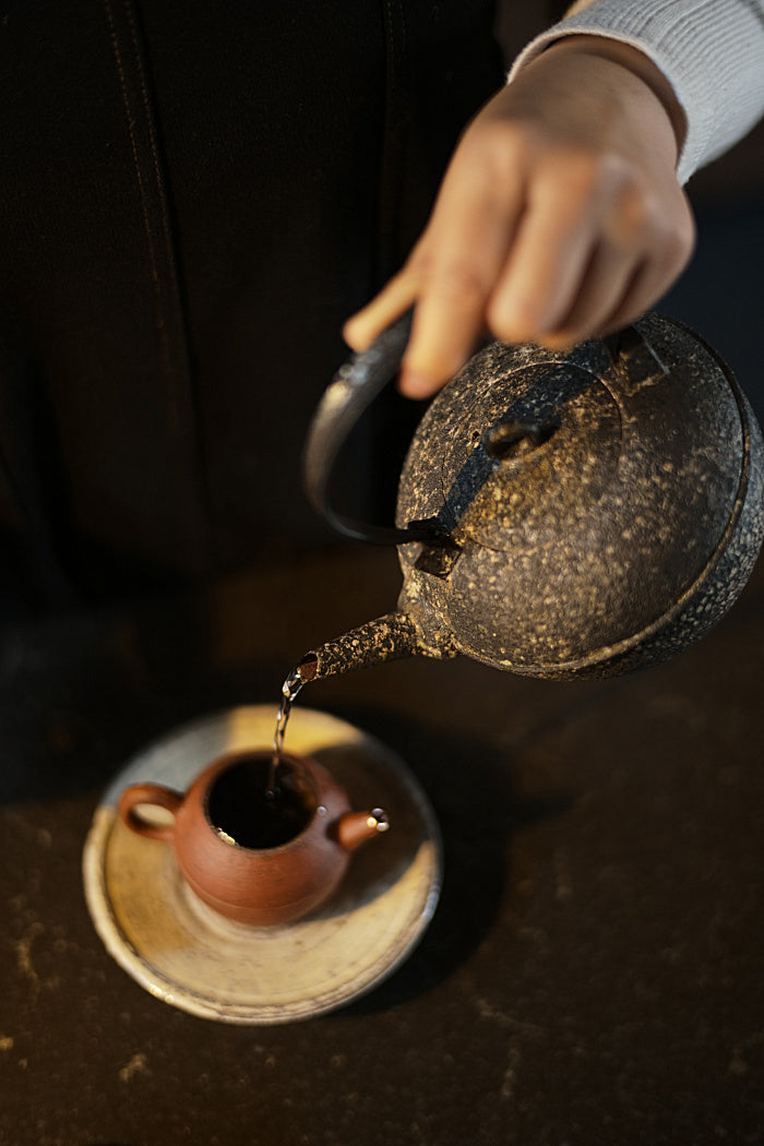 Natural Earth Turtle-Back Kettle with Iron Handle