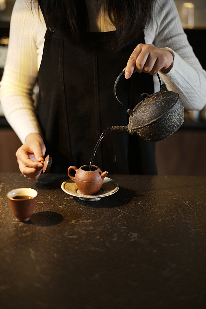Natural Earth Turtle-Back Kettle with Iron Handle