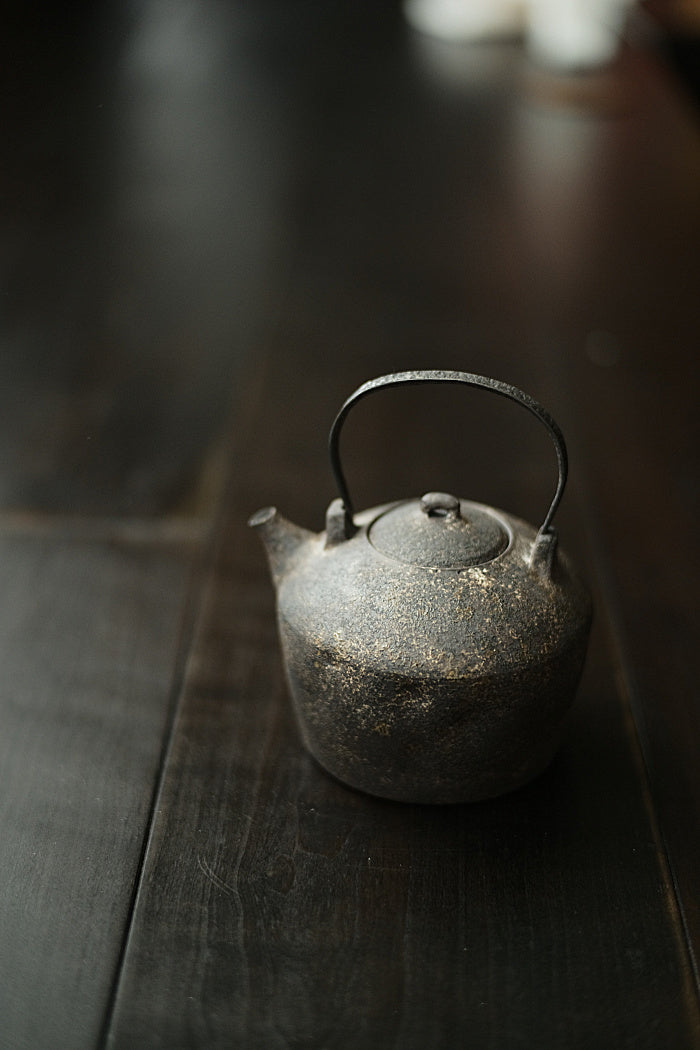 Iron and ceramic tea kettle by Cheng Wei