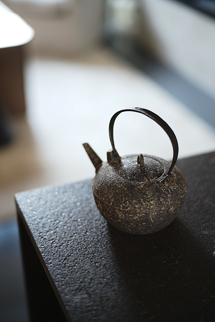 Natural Earth Turtle-Back Kettle with Iron Handle