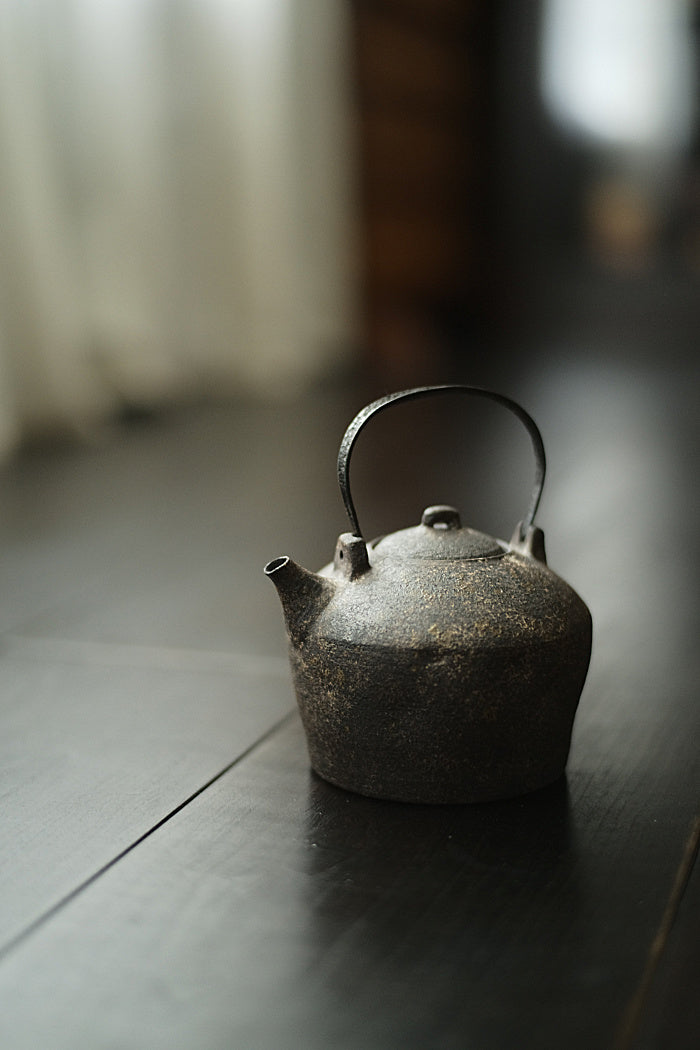 Iron and ceramic tea kettle by Cheng Wei