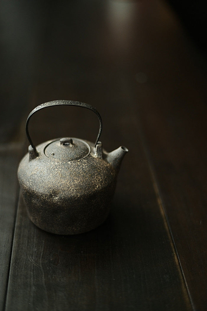 Iron and ceramic tea kettle by Cheng Wei