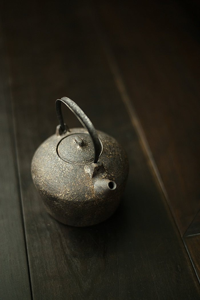 Iron and ceramic tea kettle by Cheng Wei