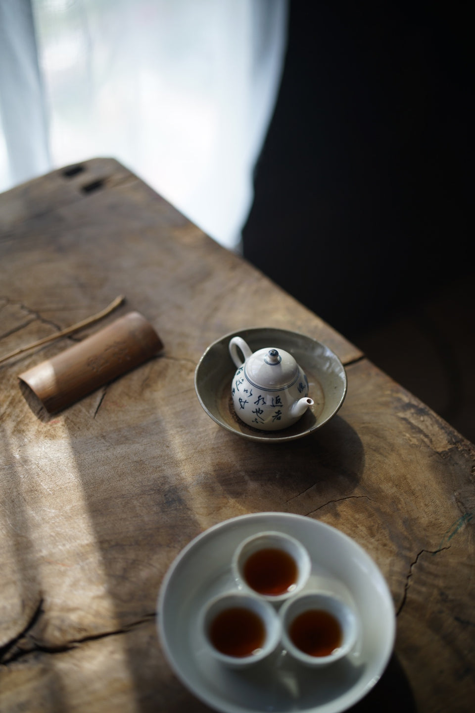 Ancient Pine Tree Teapot