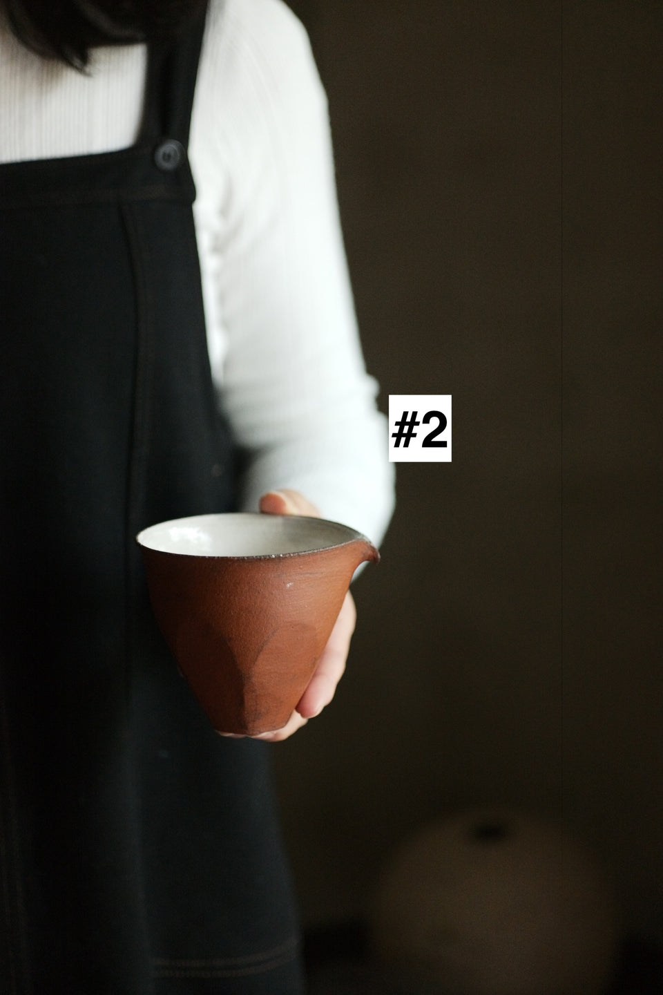 Hui Shan Red Clay Gongdaobei - Series 2