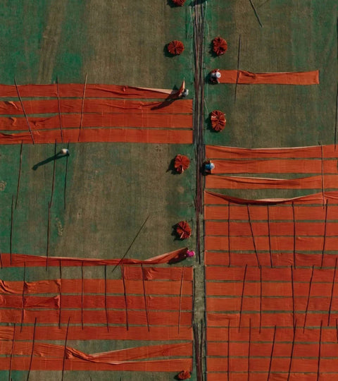 The Earthy Elegance of Xiangyun Silk