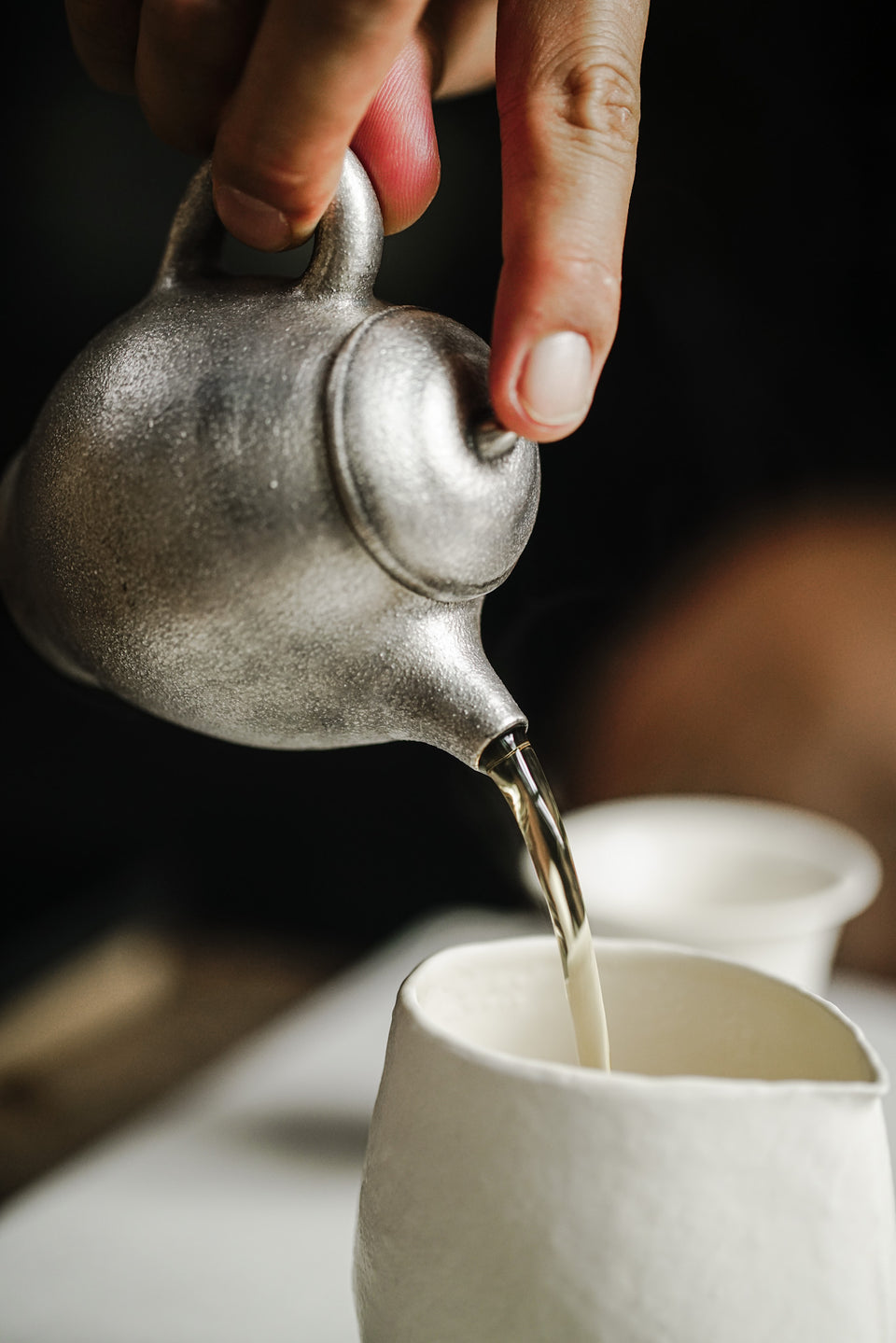 Plump Silver Modern Teapot for Oolong Tea & Yancha