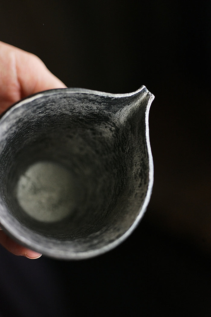 Melon-Slice Gongdaobei Pitcher｜Silver / Black Gold