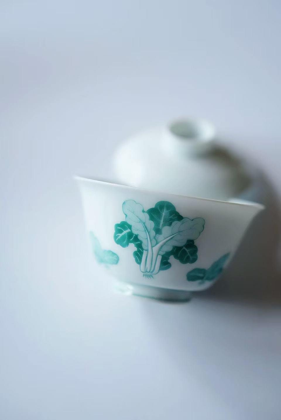 Jade Cabbage Gaiwan