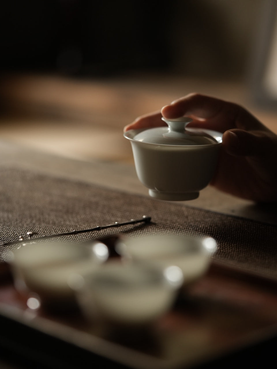 Tea Evaluation Gaiwan with Hidden Qinghua Scene