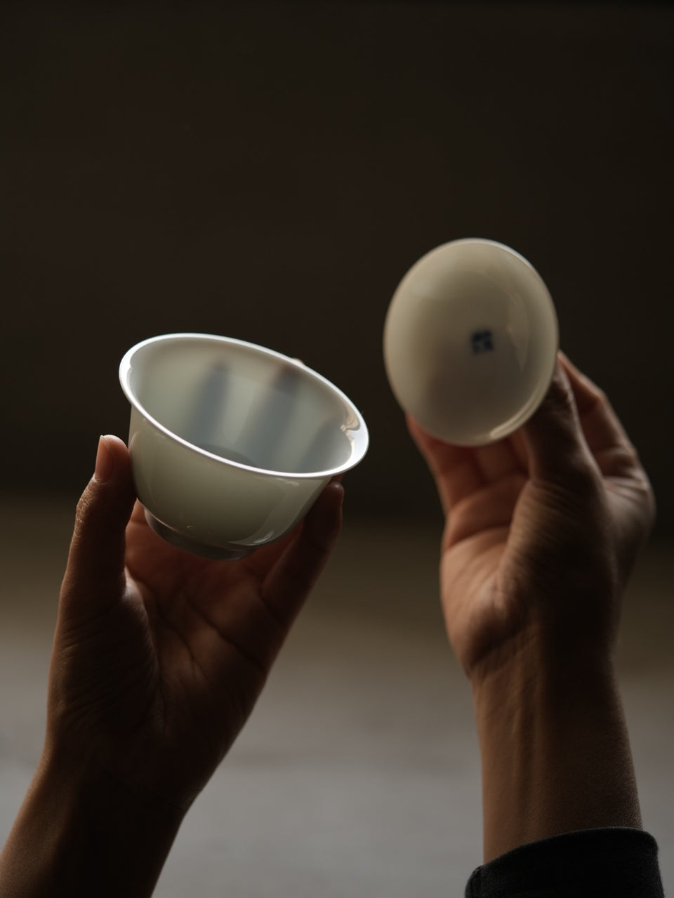 Tea Evaluation Gaiwan with Hidden Qinghua Scene