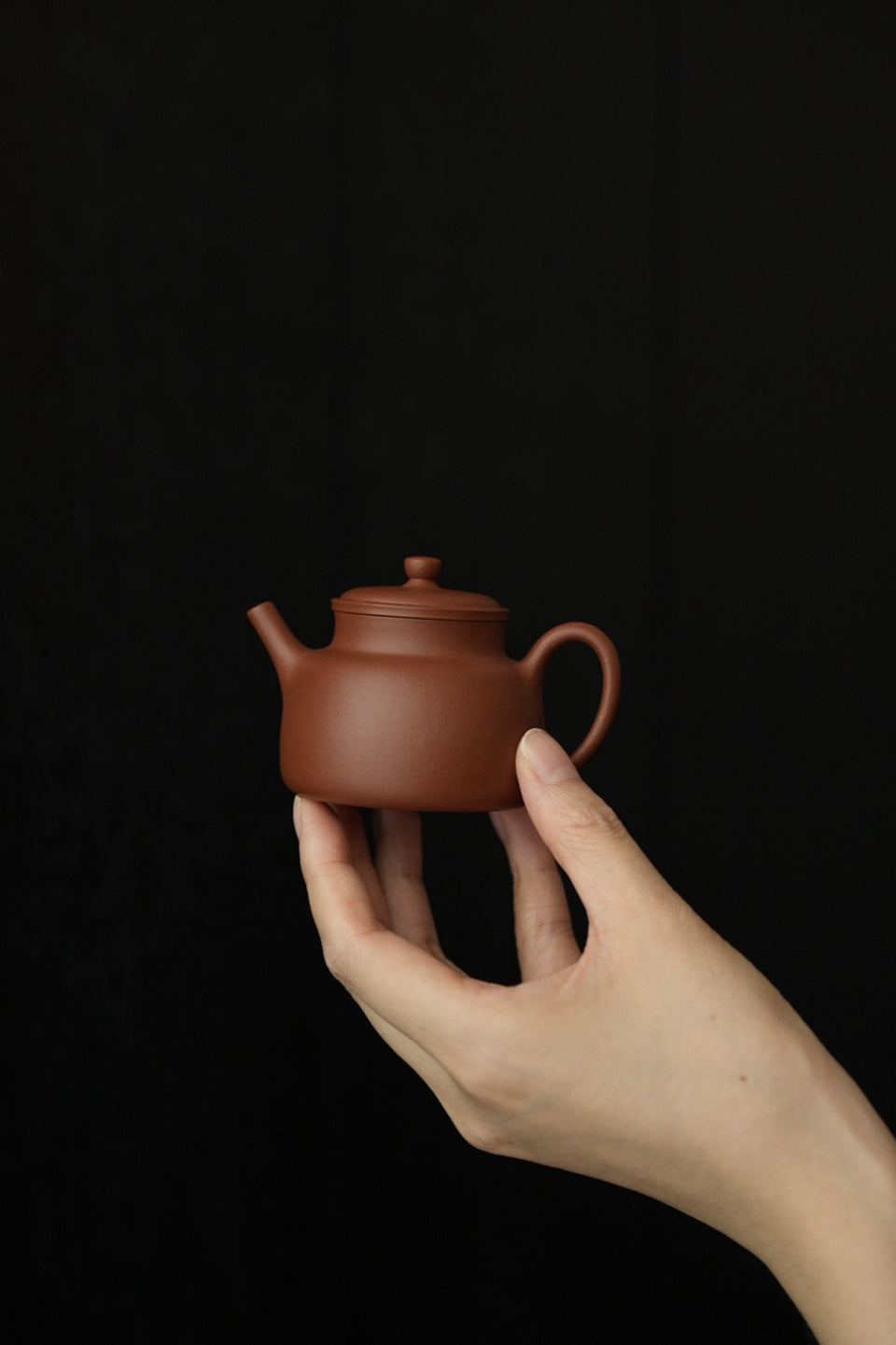 “Yan Xin” Zhuni Zisha Clay Teapot