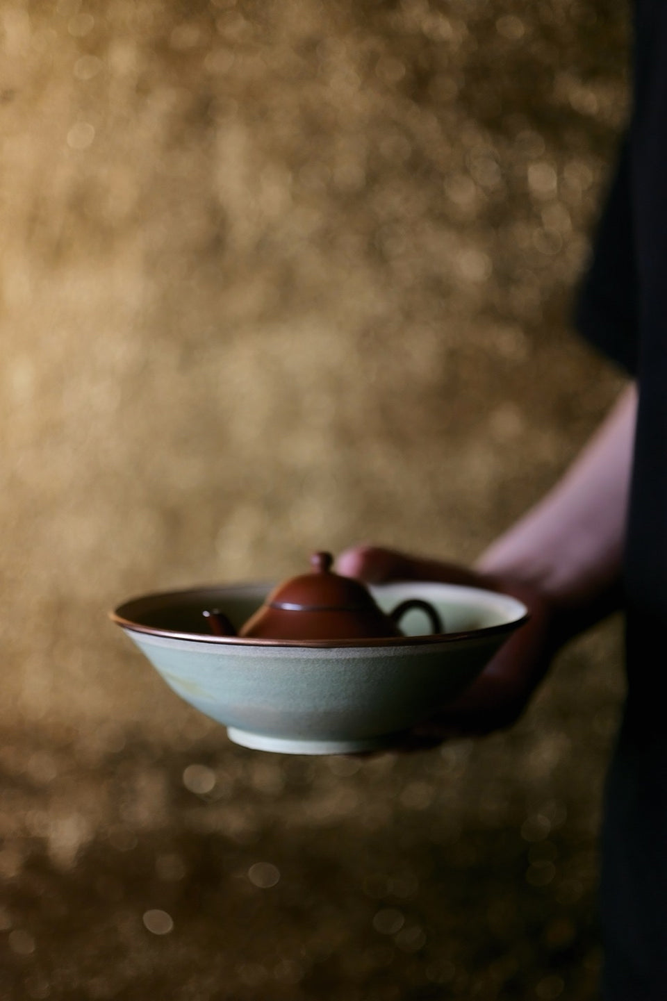 Forest Moss Hucheng
