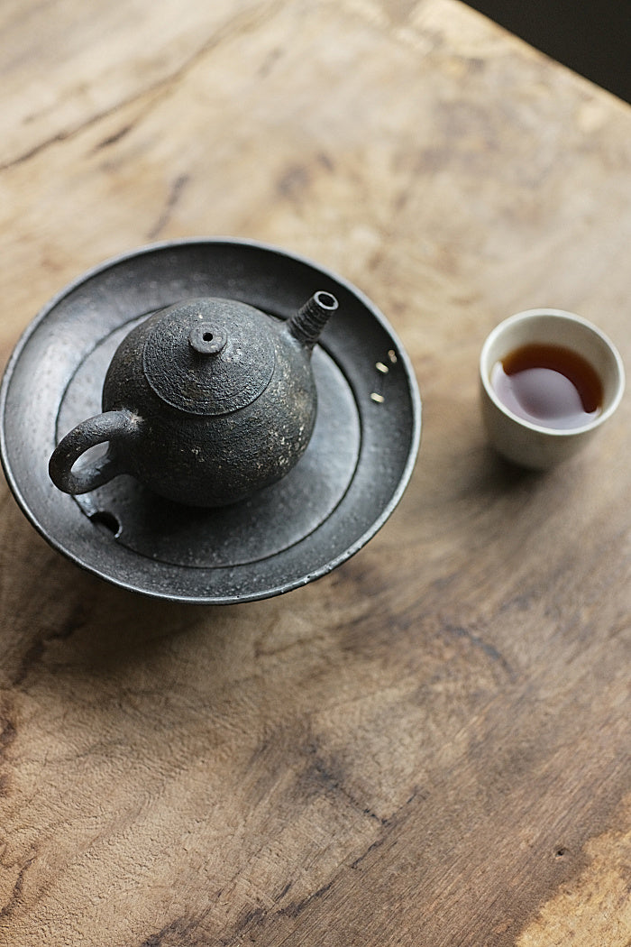 Natural Earth Textured Teapot #1