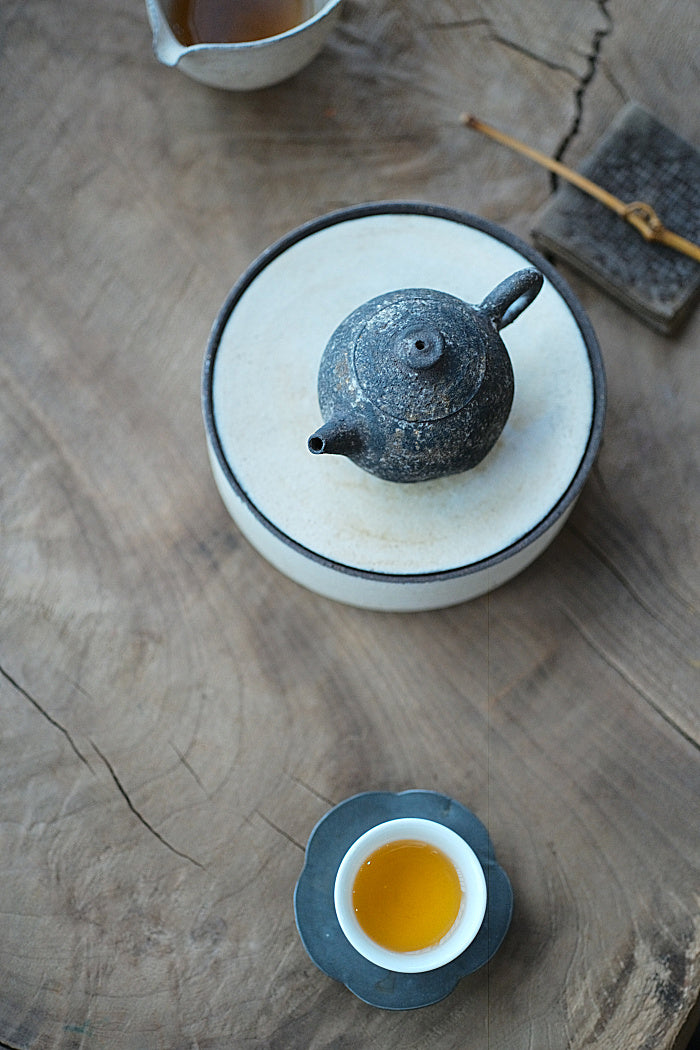 Natural Earth Textured Teapot