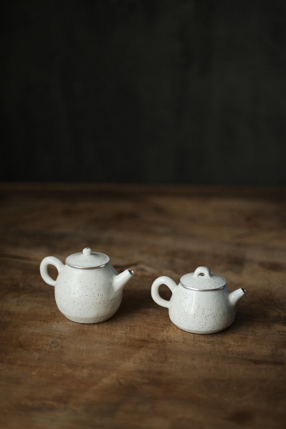 Original Silver-lined Poetry Teapot by Cheng Wei